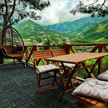 Forest Dağ evi *