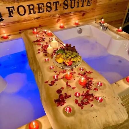 Dağ evi Forest *