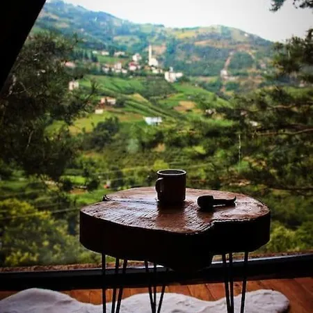 Forest * Trabzon