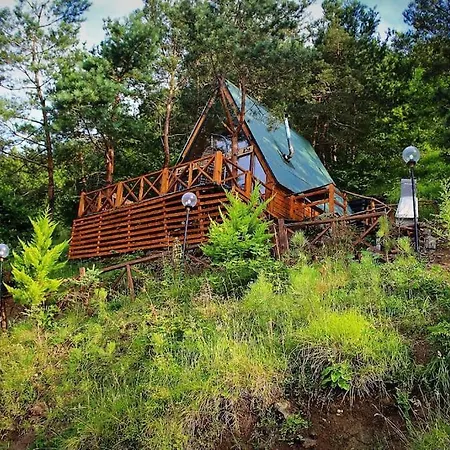 Forest Dağ evi
