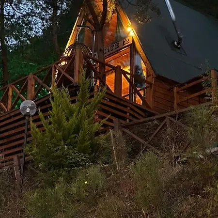 Forest شاليه *