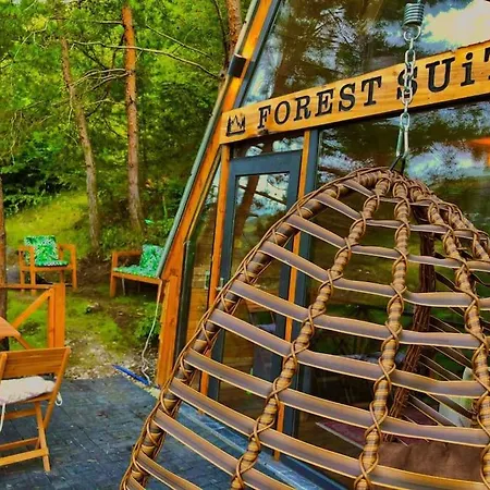 Forest Dağ evi Trabzon