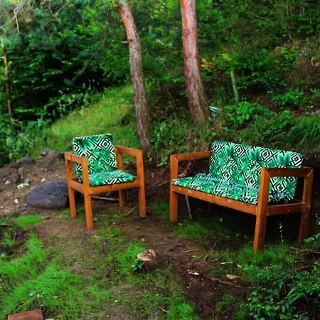 Forest * Trabzon