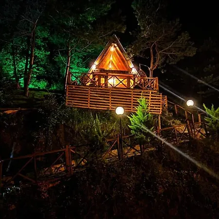 Forest * Trabzon