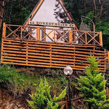 Dağ evi Forest