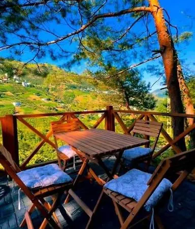 Dağ evi Forest *