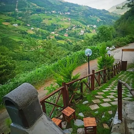 شاليه Forest ترابزون