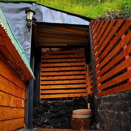 Forest * Trabzon