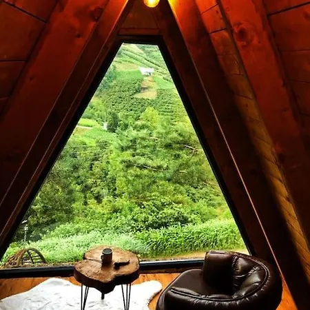 Forest Dağ evi