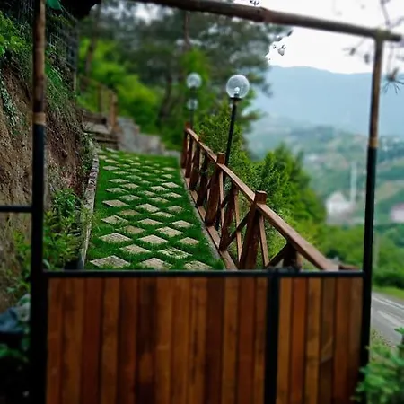 Forest トラブゾン